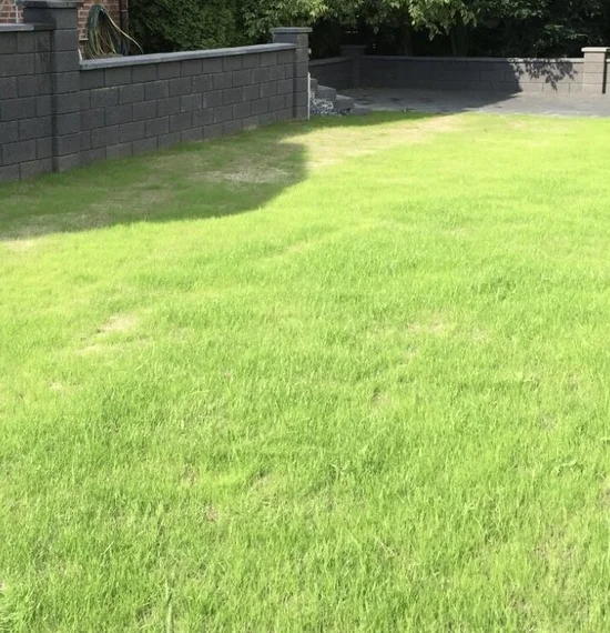 Anlegen von Rasenflächen 16